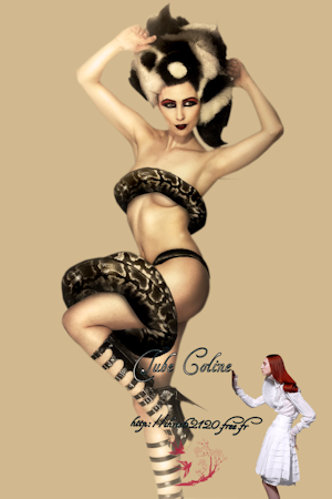 femme 14